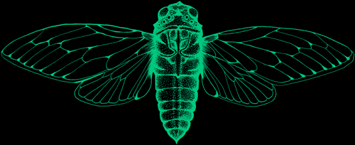 The logo for Cicada Detroit at CicadaDetroit.com, an online ARG or augmented reality game that is taking place in the city of Detroit, Michigan.